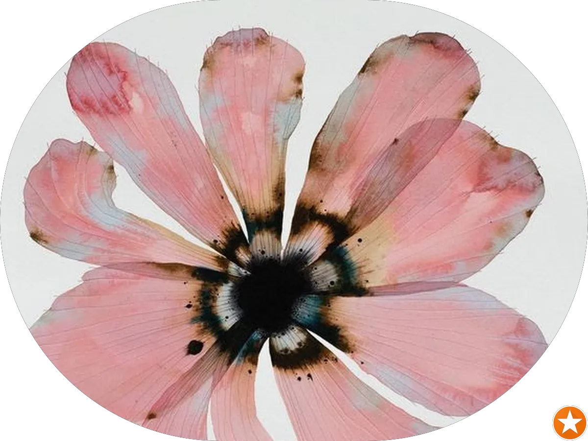 St. Vincent de Paul Society photo 4