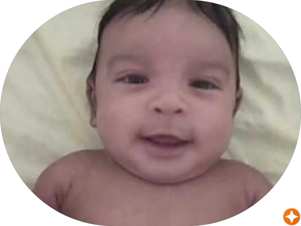 Stark & Stark photo 5