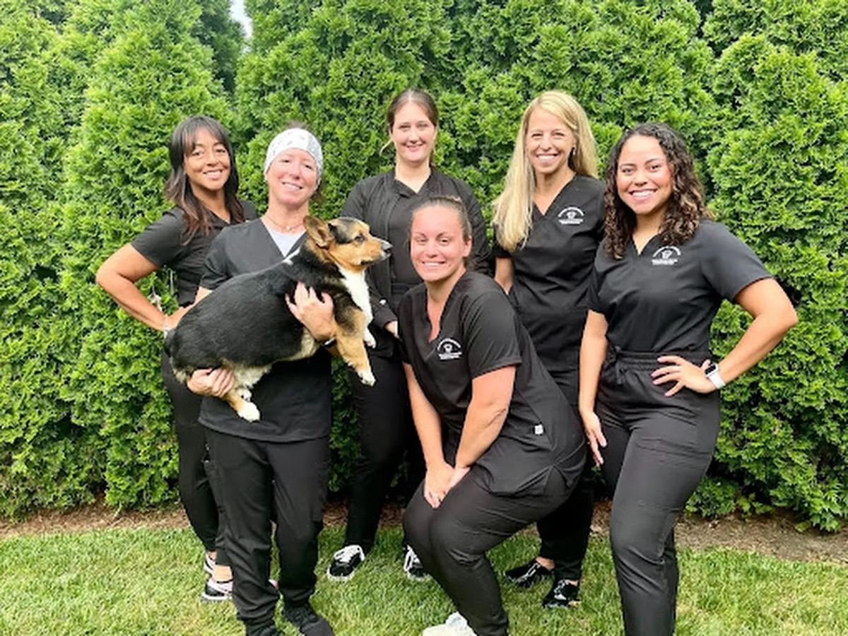 Stavisky Orthodontics - Vineland