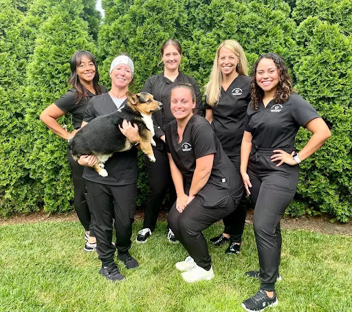 Stavisky Orthodontics - Vineland photo 2