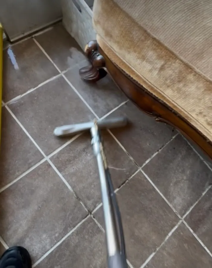 Steamteam215 photo 3