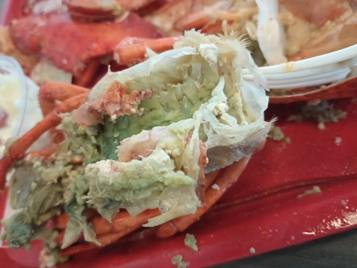 Steel Pier Crab House and Raw Bar photo 2