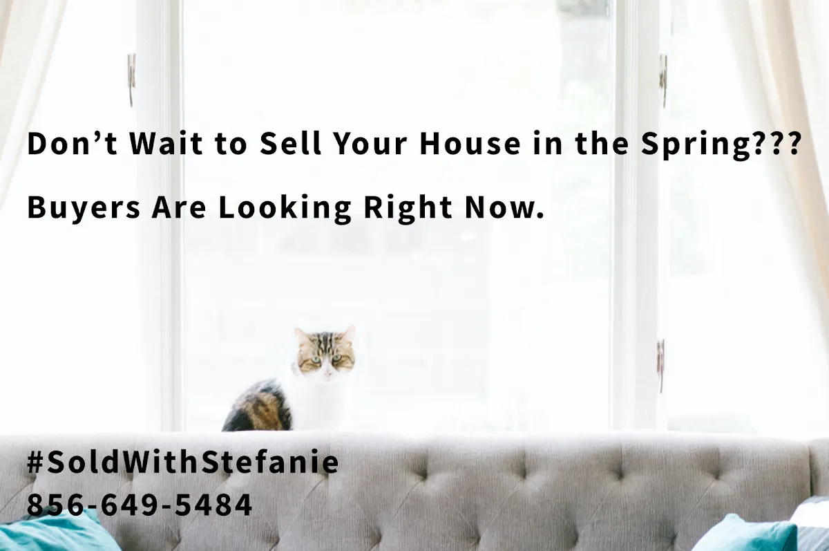 Stefanie Amber Reis - Keller Williams Realty Jersey Shore photo 4