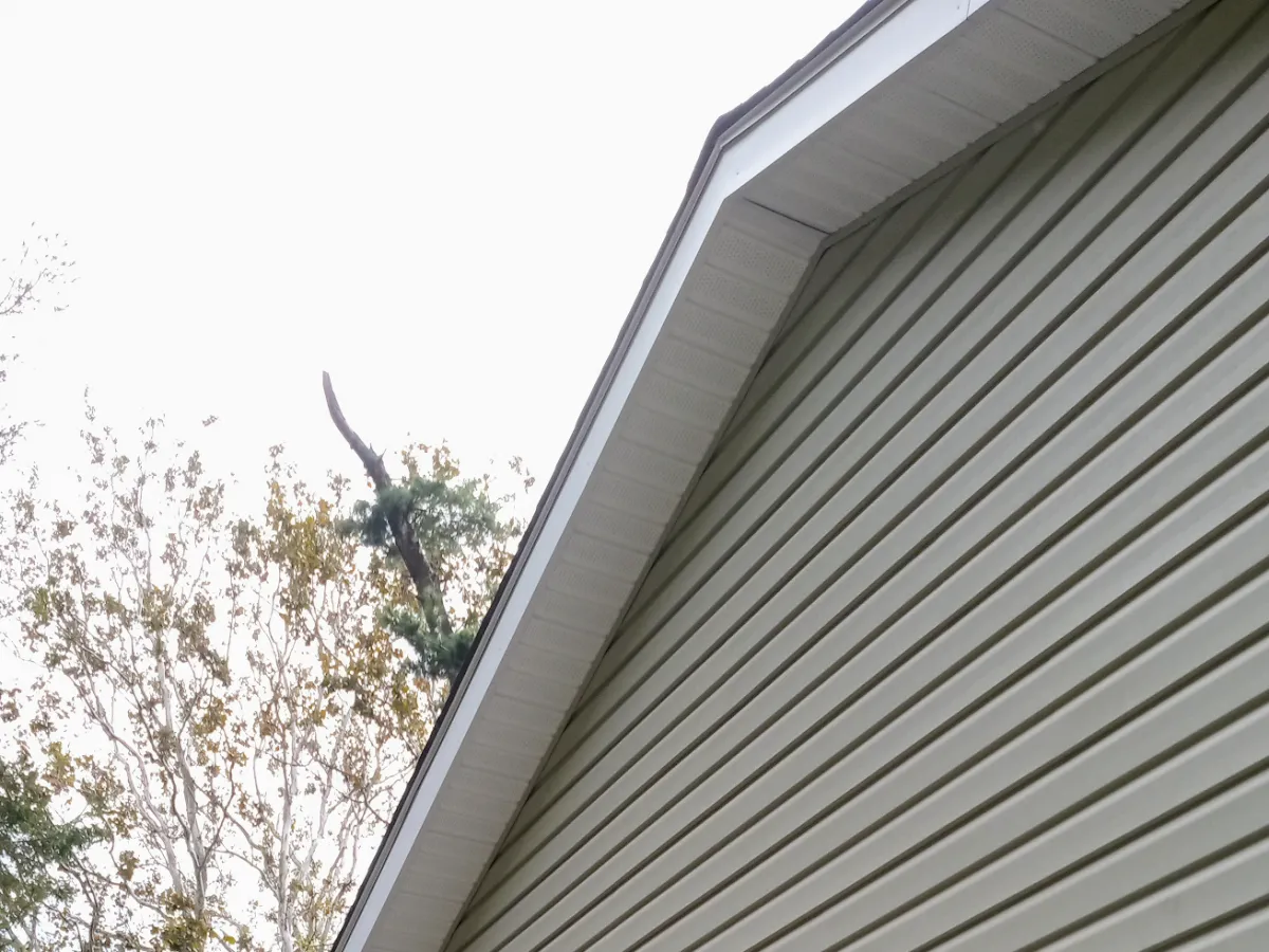 Stella Property Maintenance Group photo 5