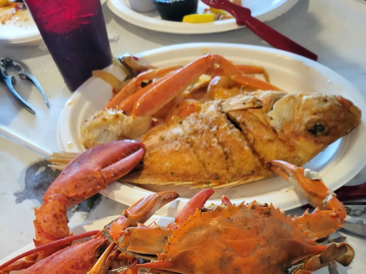 Stellato. Ristorante photo 3