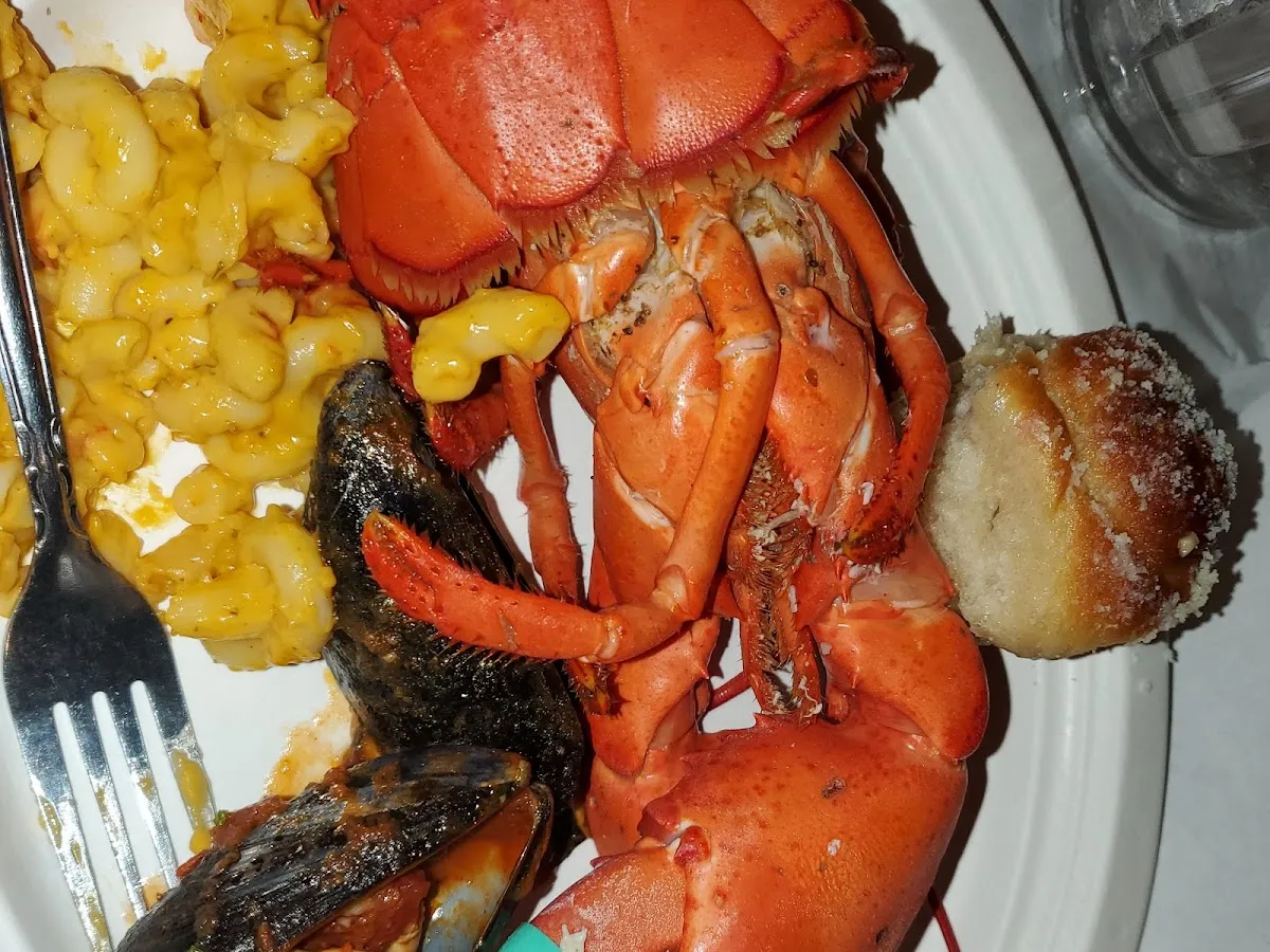 Stellato. Ristorante photo 5