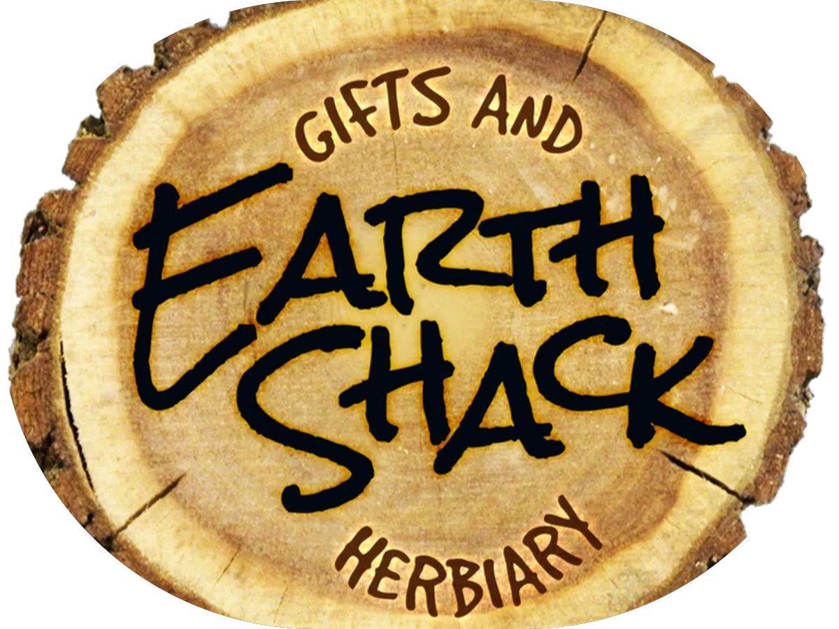 Step Ahead Web, LLC photo 2