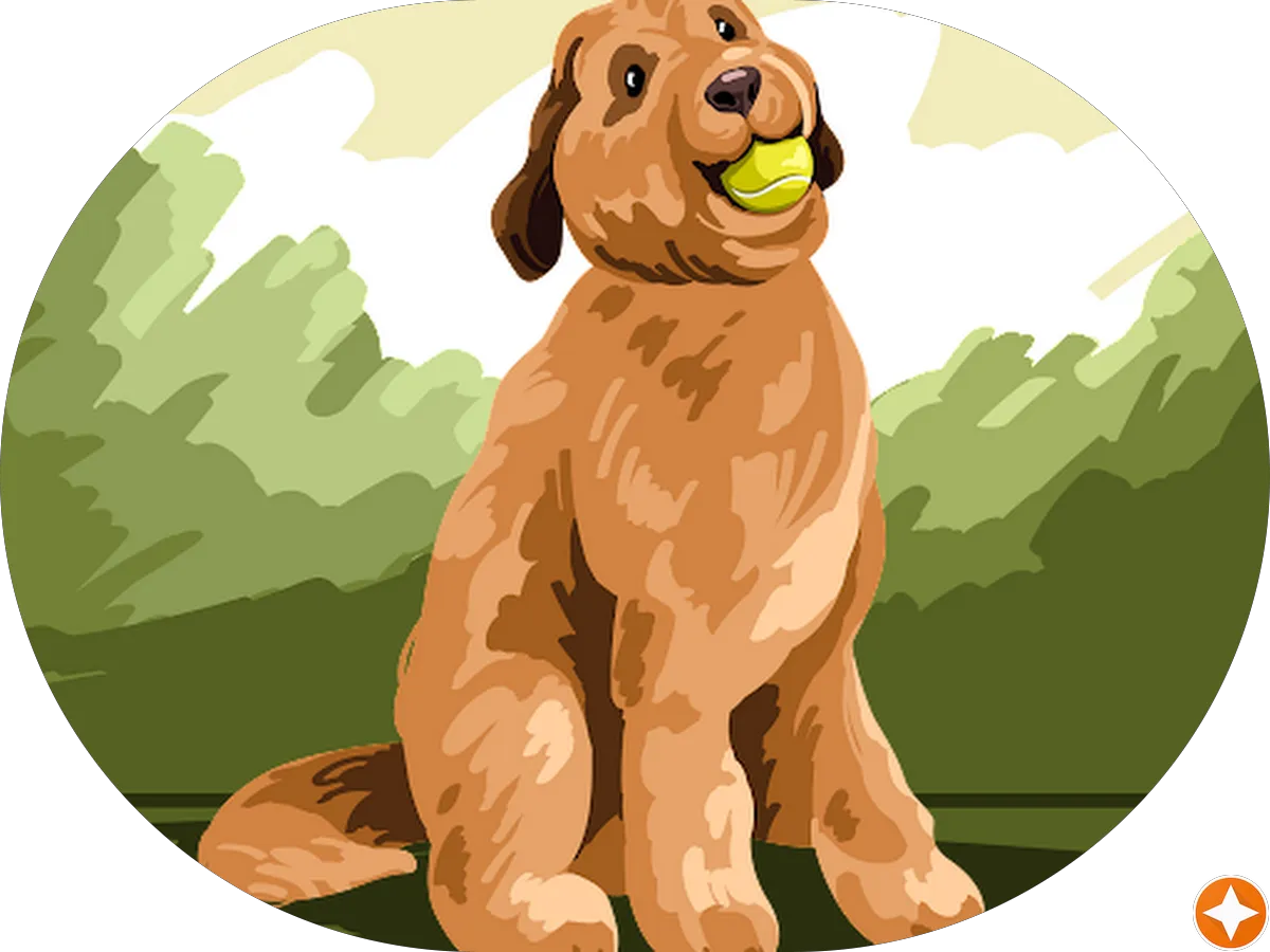 Stephen M. Matarazzo photo 4