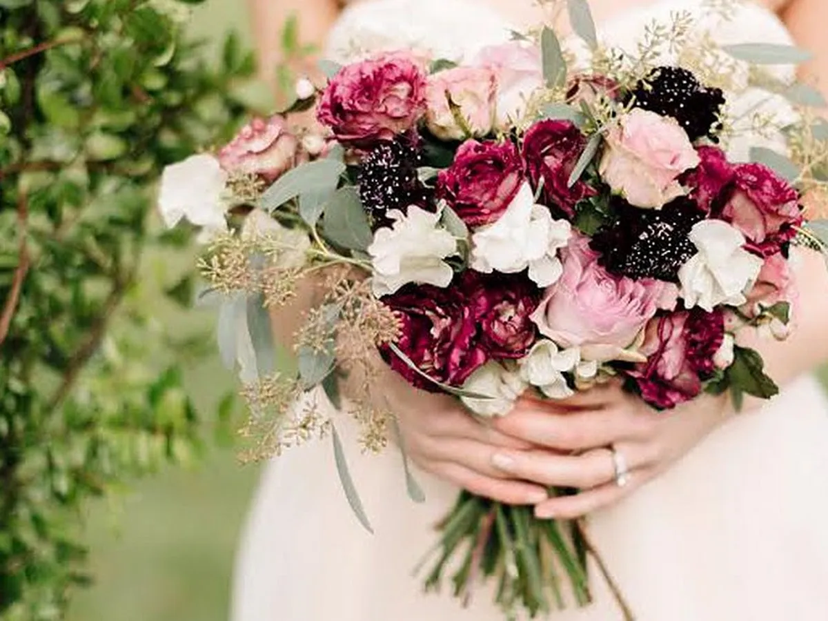 Sterlingbrook Farm Events