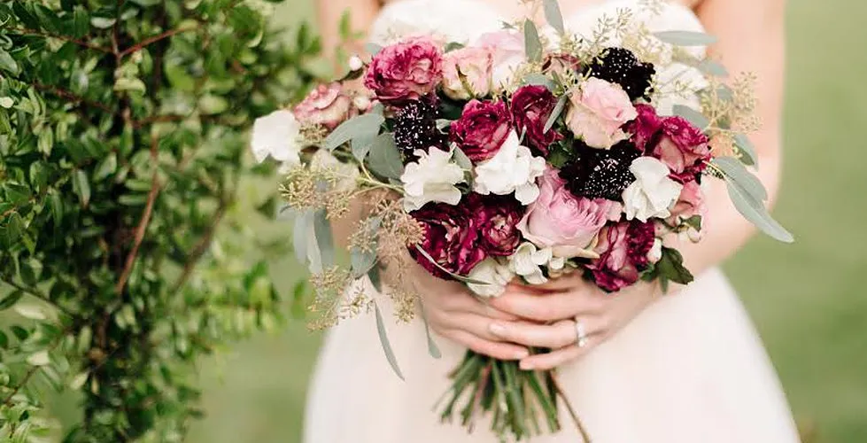 Sterlingbrook Farm Events photo 2