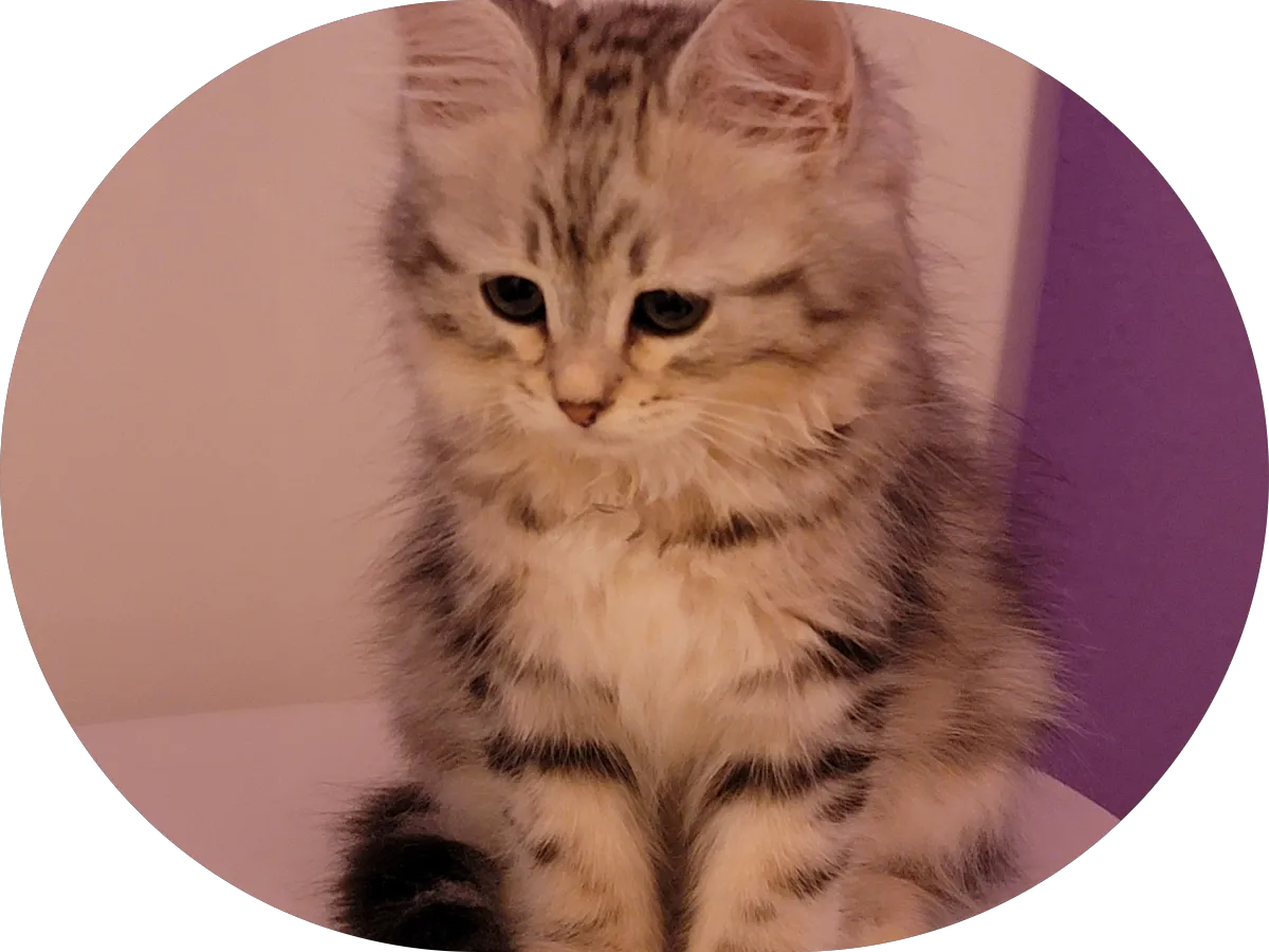 Stern Marcel MD-HealthMed UC A.C photo 5