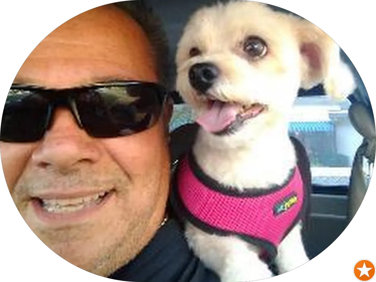 Steven M Abramoff Esq