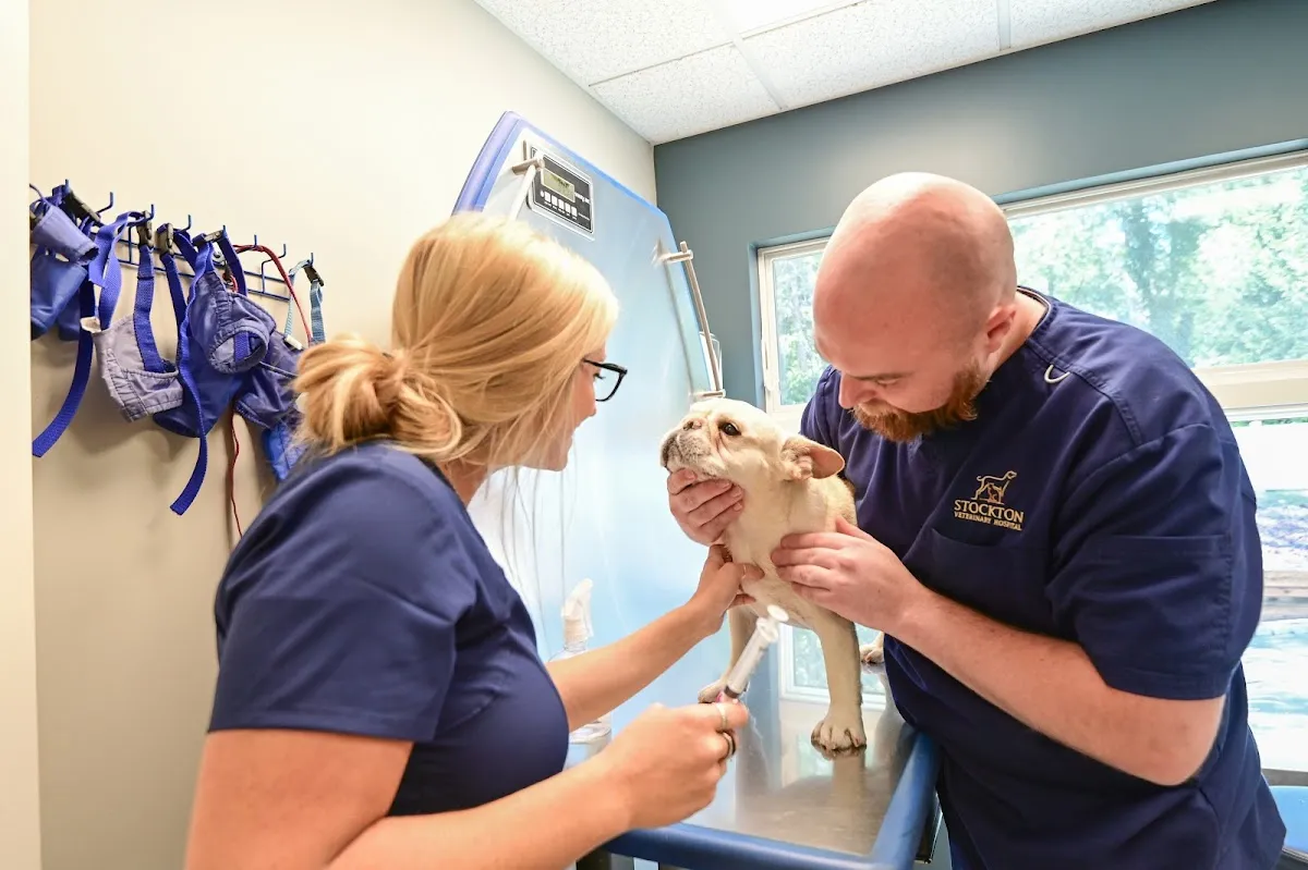 Stockton Veterinary Hospital