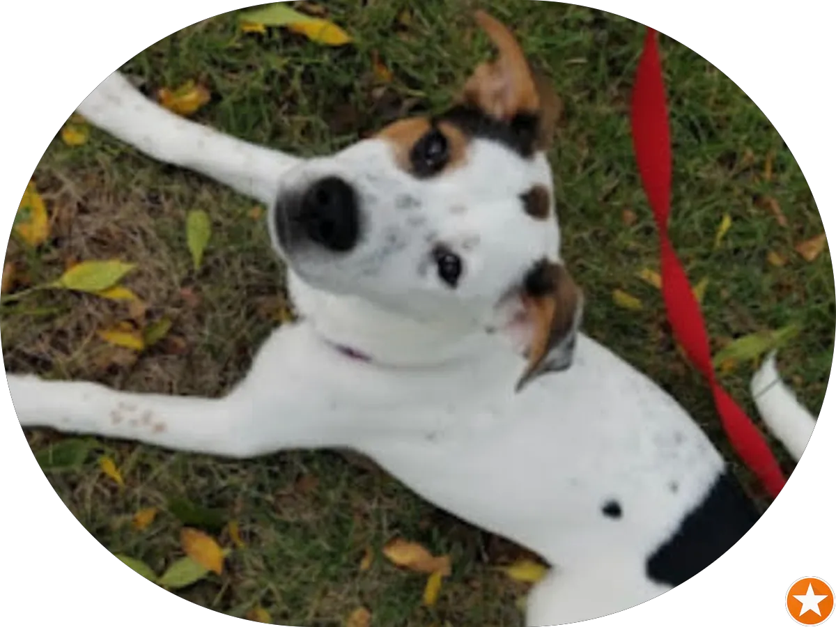 Stonegate Mortgage LLC photo 3