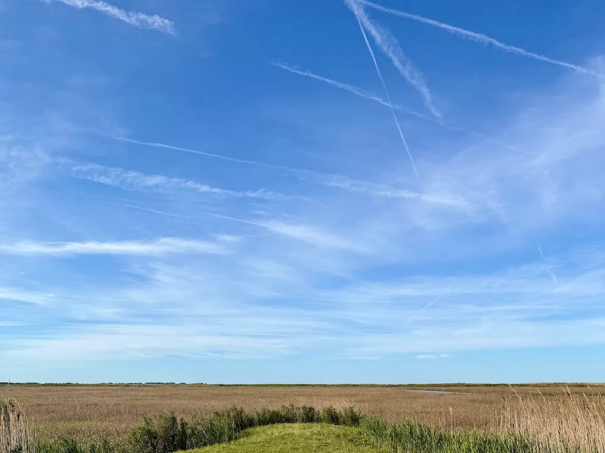 Strawberry Avenue Boardwalk