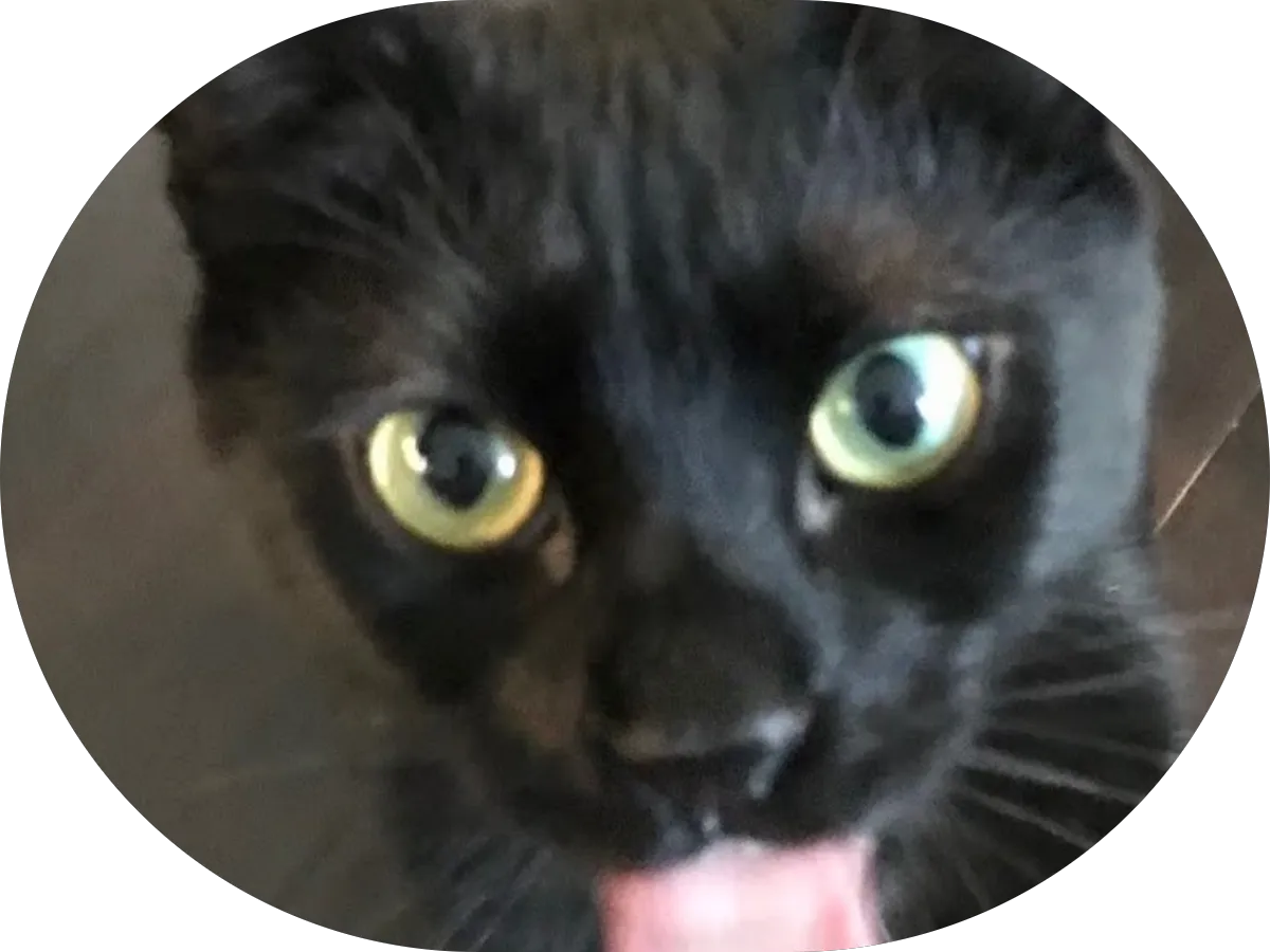 Streamline Auto Body photo 4