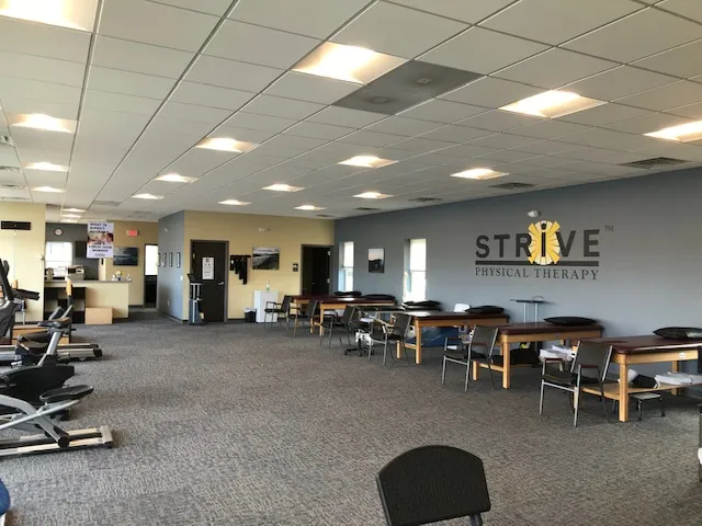 Strive Physical Therapy photo 2