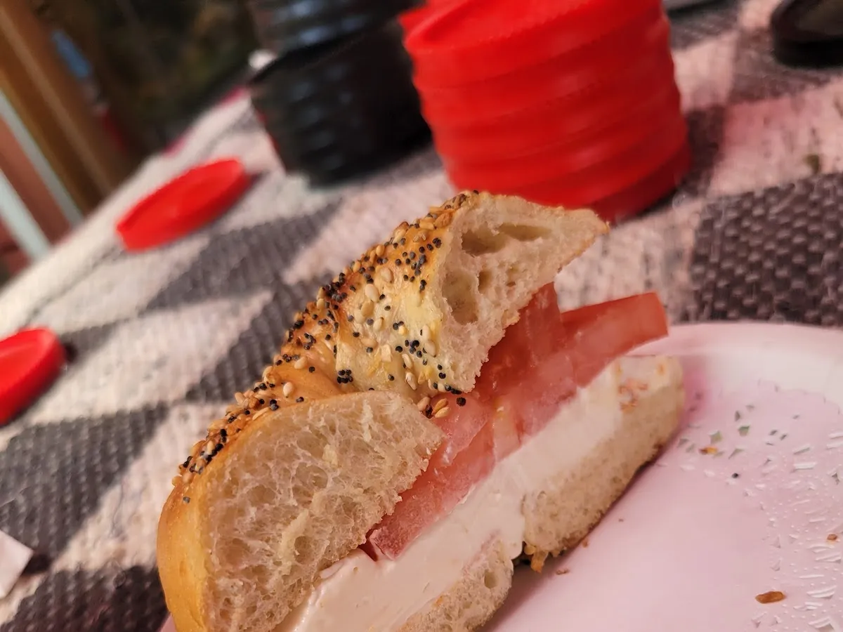 Studibagels Garden Cafe photo 3