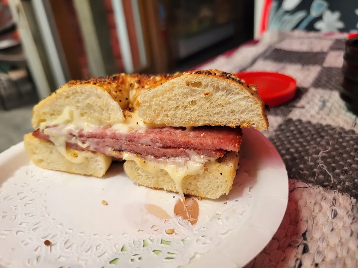 Studibagels Garden Cafe photo 4