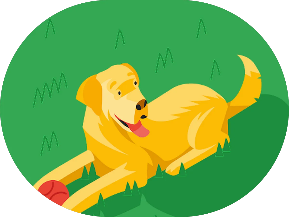 Studio 67 Medford photo 4