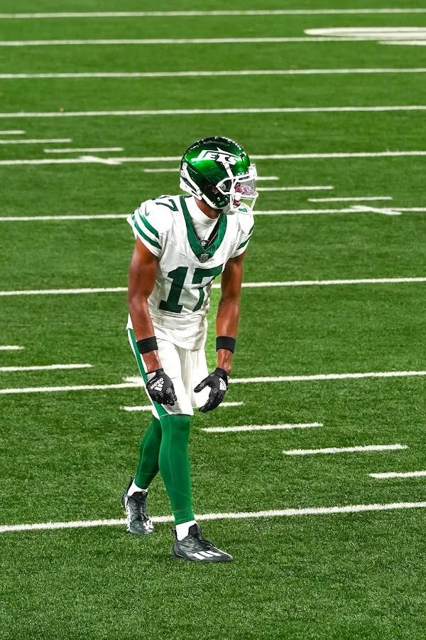 Studio Lamella photo 2