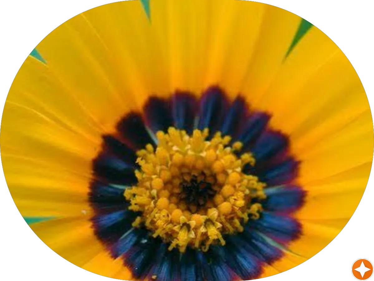 Stylus DJ Entertainment photo 4