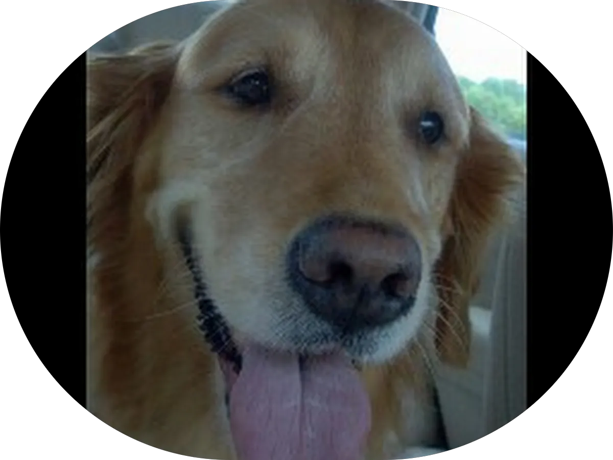 Suite Serenity photo 5