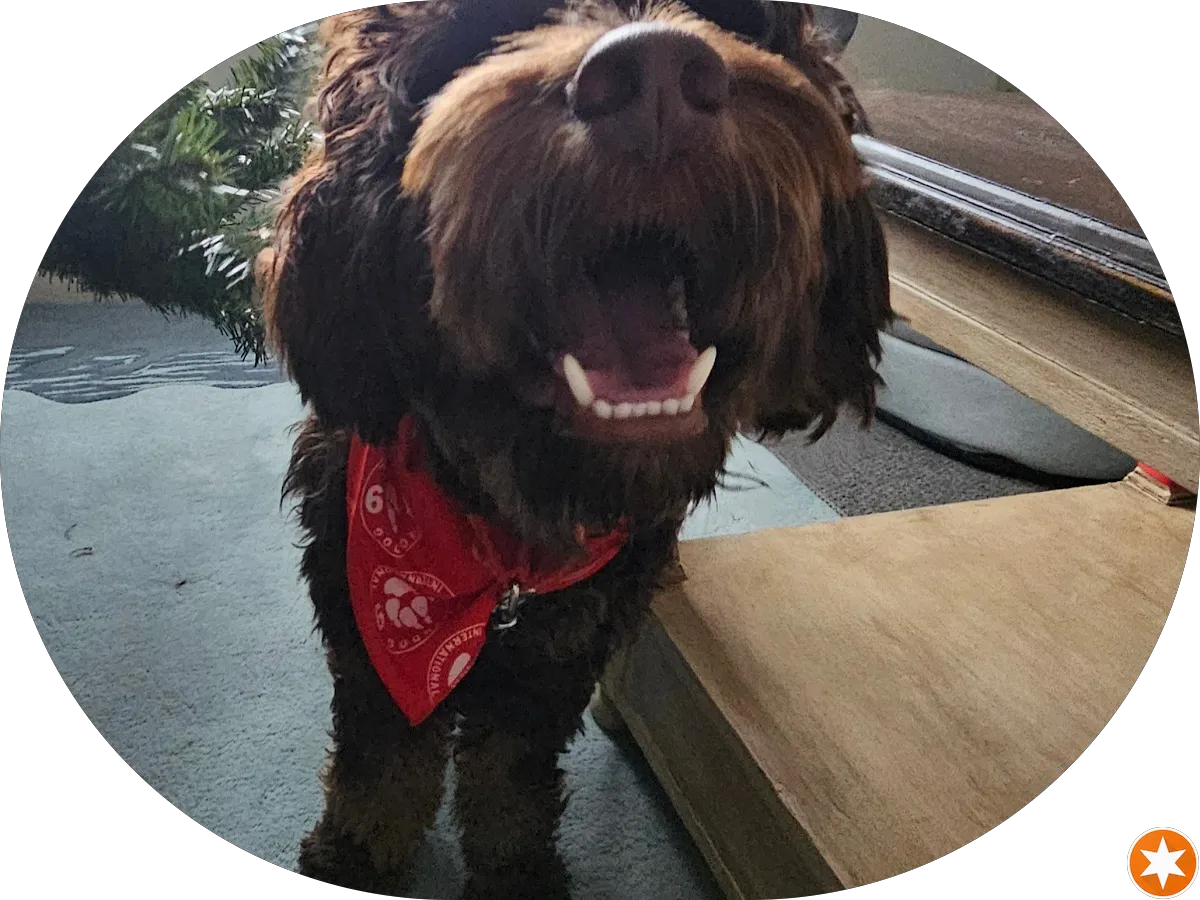 Summer Breeze Nails & Spa photo 5