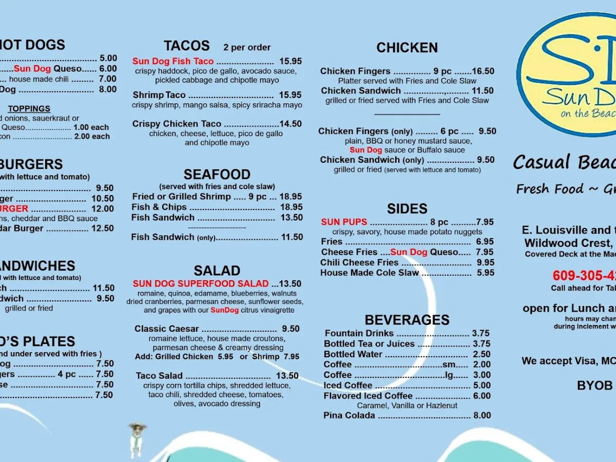 Sun Dog on the Beach photo 2