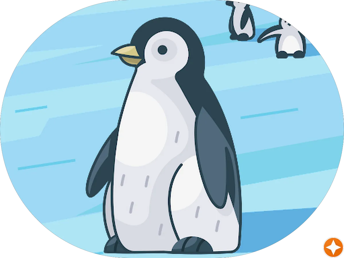 Sun Painting & Carpentry photo 3