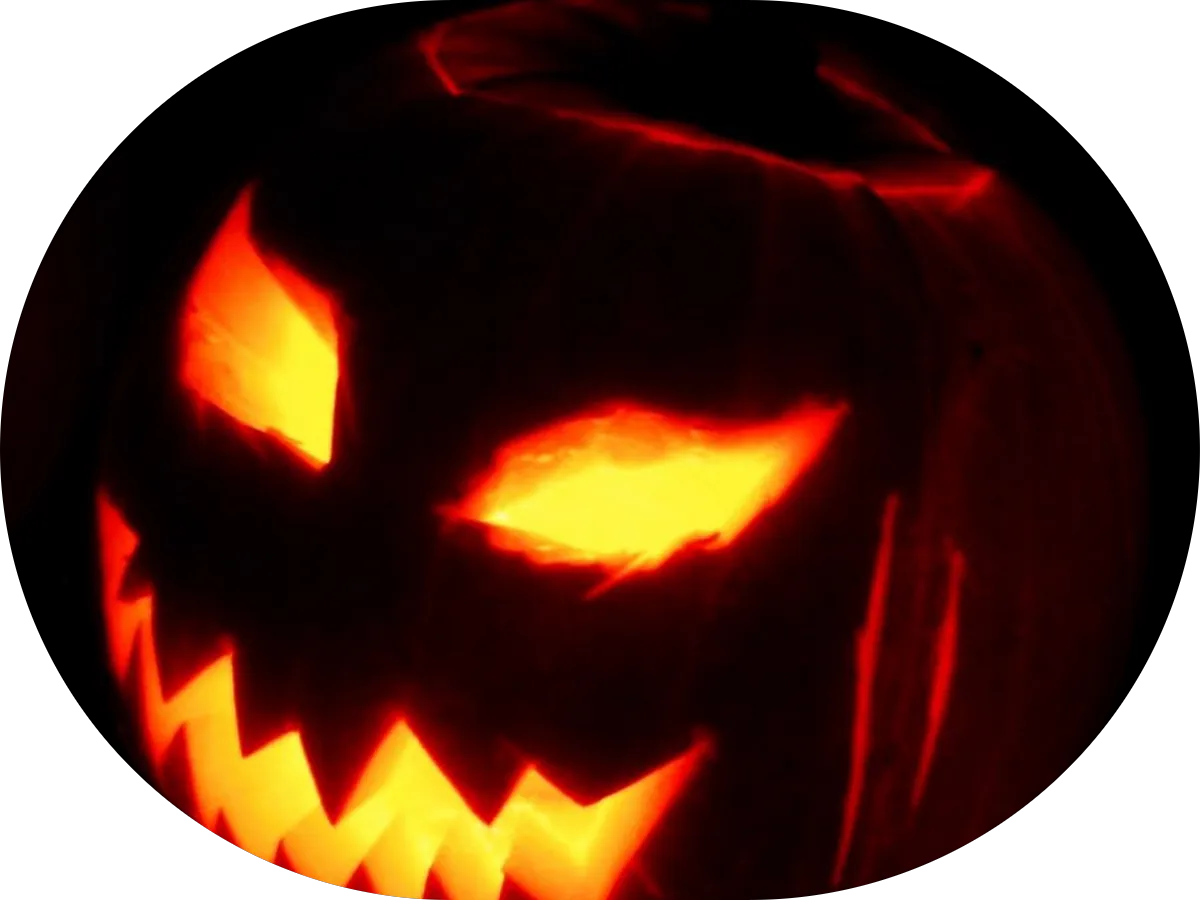 SunDrop Counseling LLC photo 3