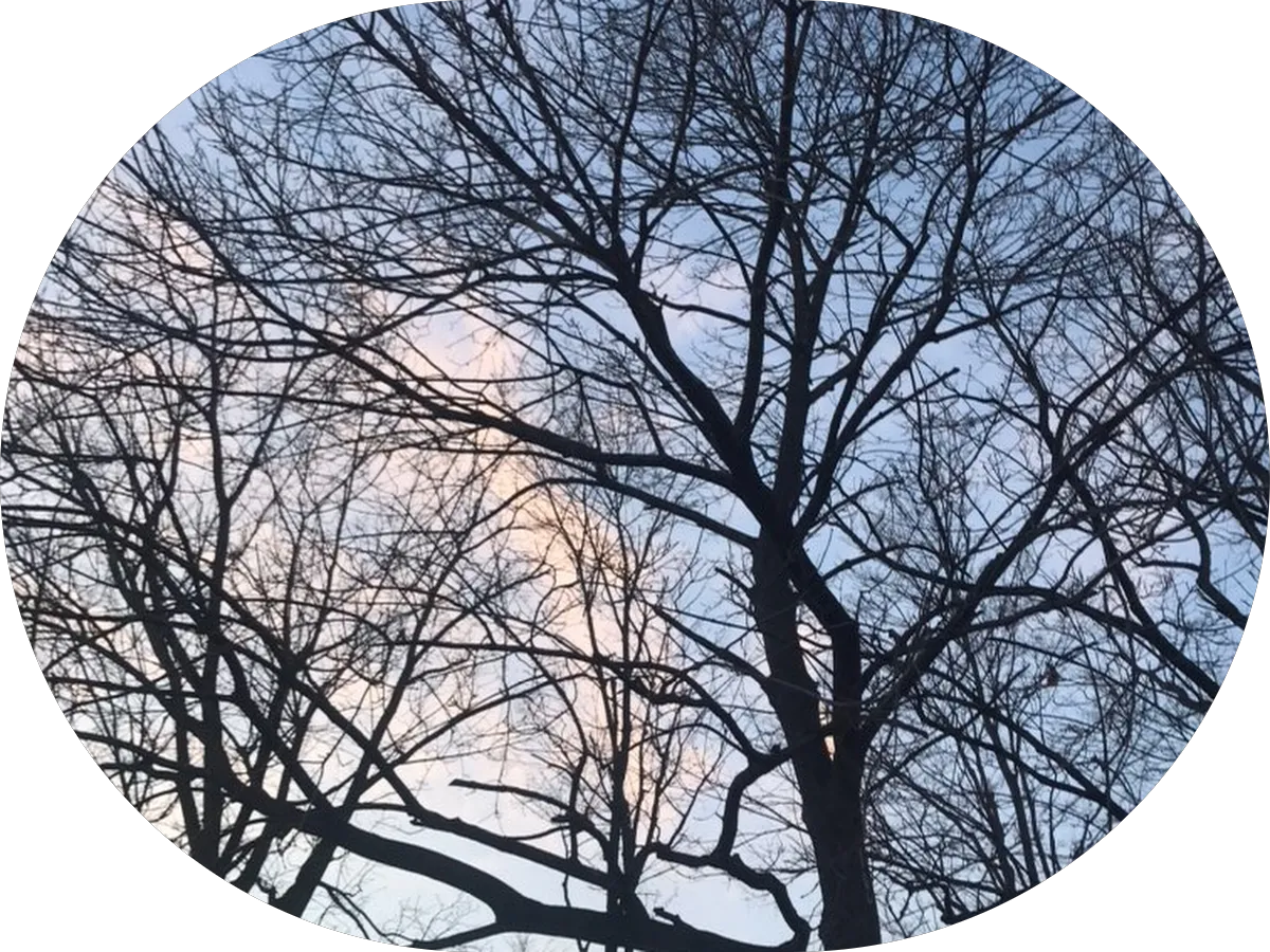 Sunny's Hair Studio & Lashes photo 5