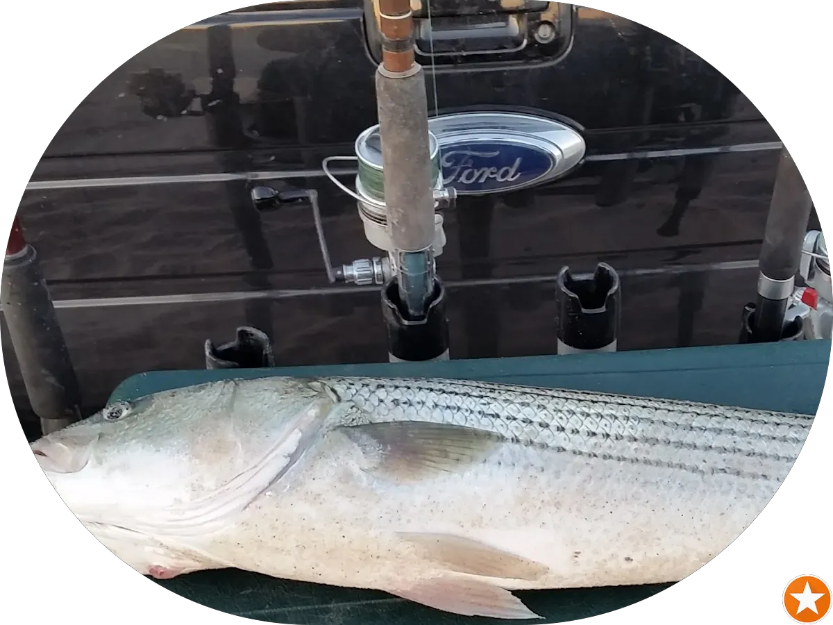 Sunset Farmstead photo 5