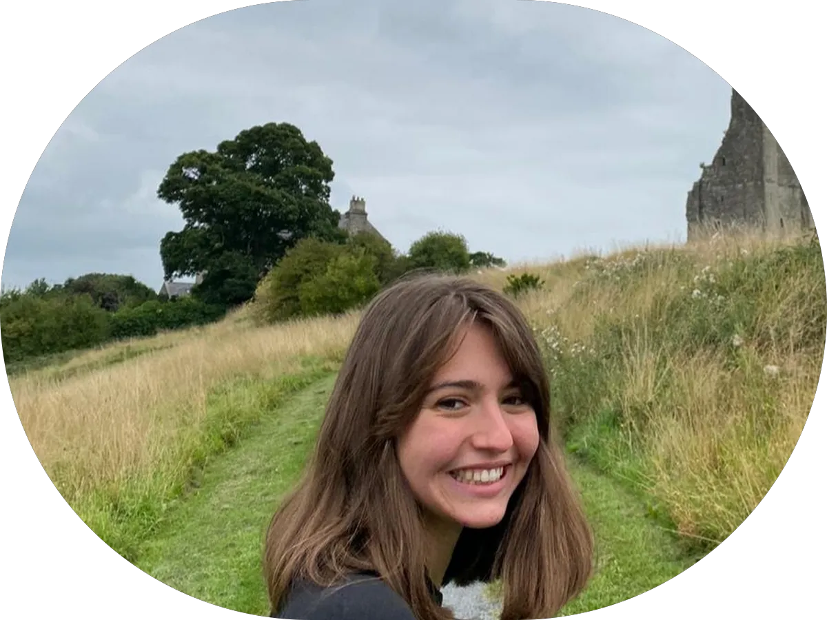 Superior Auto Care photo 4