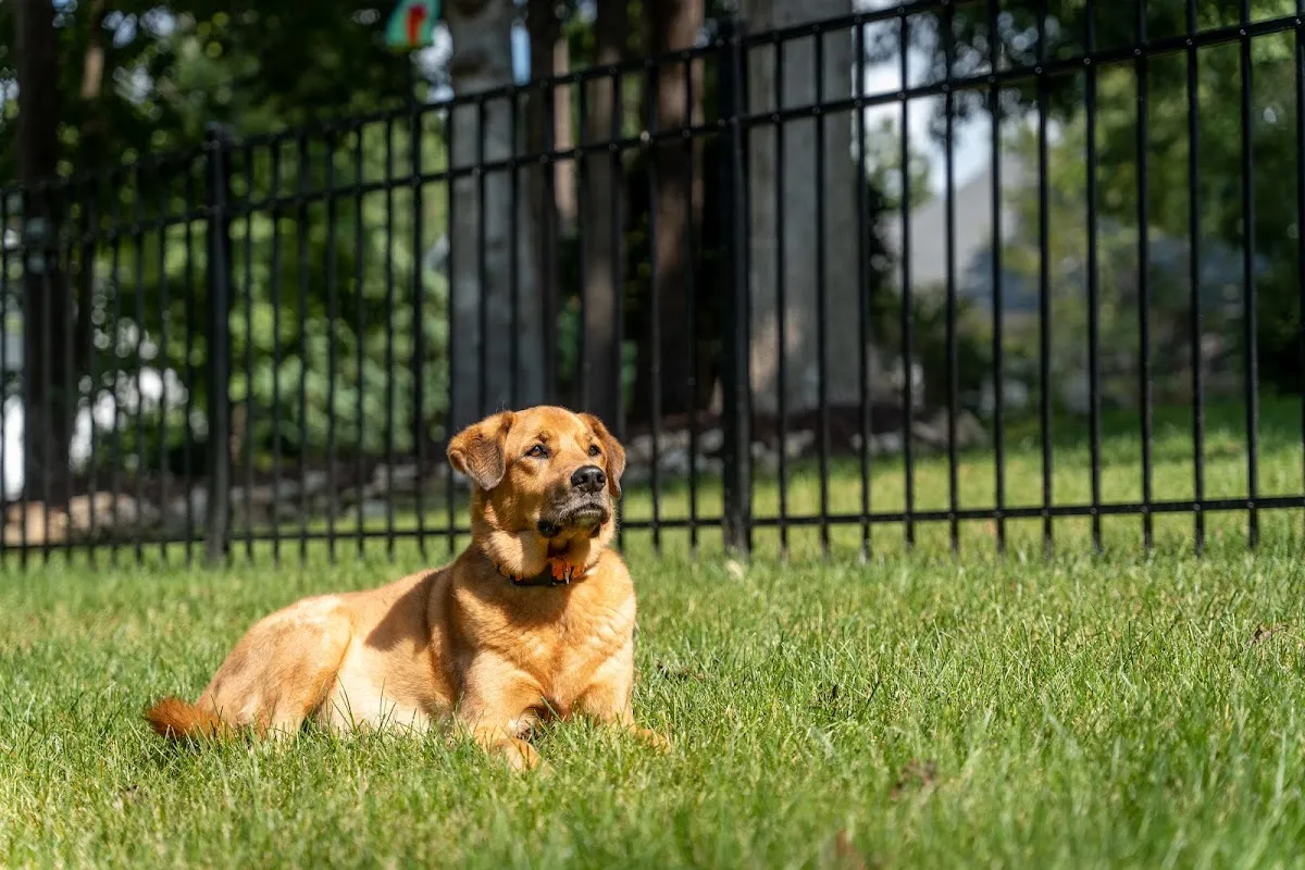 Superior Fence & Rail