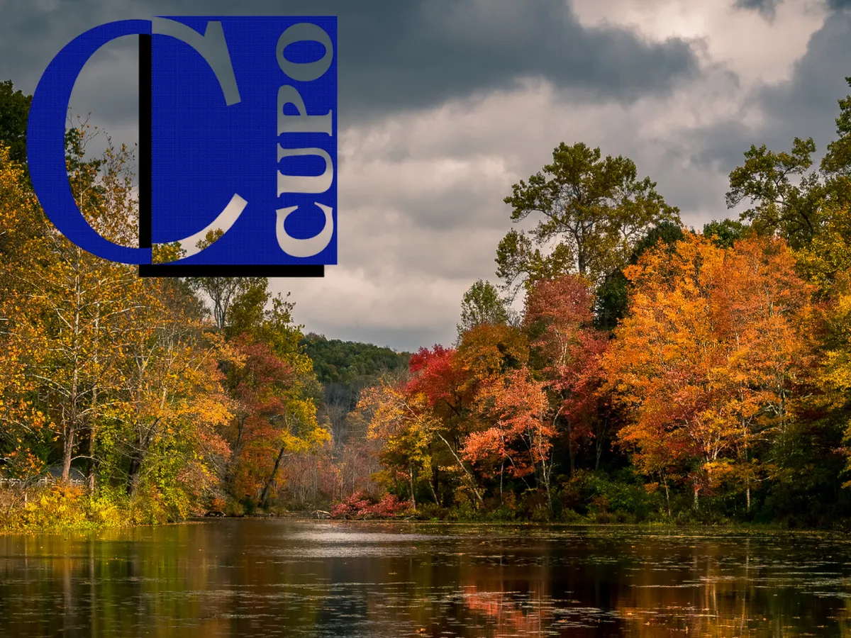 Superior Insurance Agency photo 5