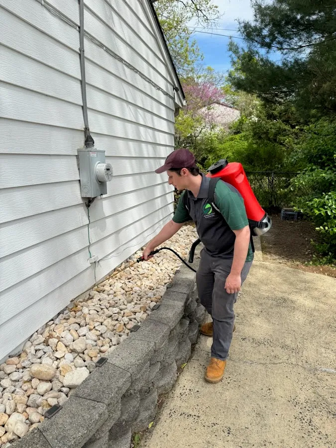 Superior Pest Elimination