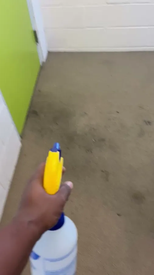 Sure Shot Carpet Cleaning photo 4