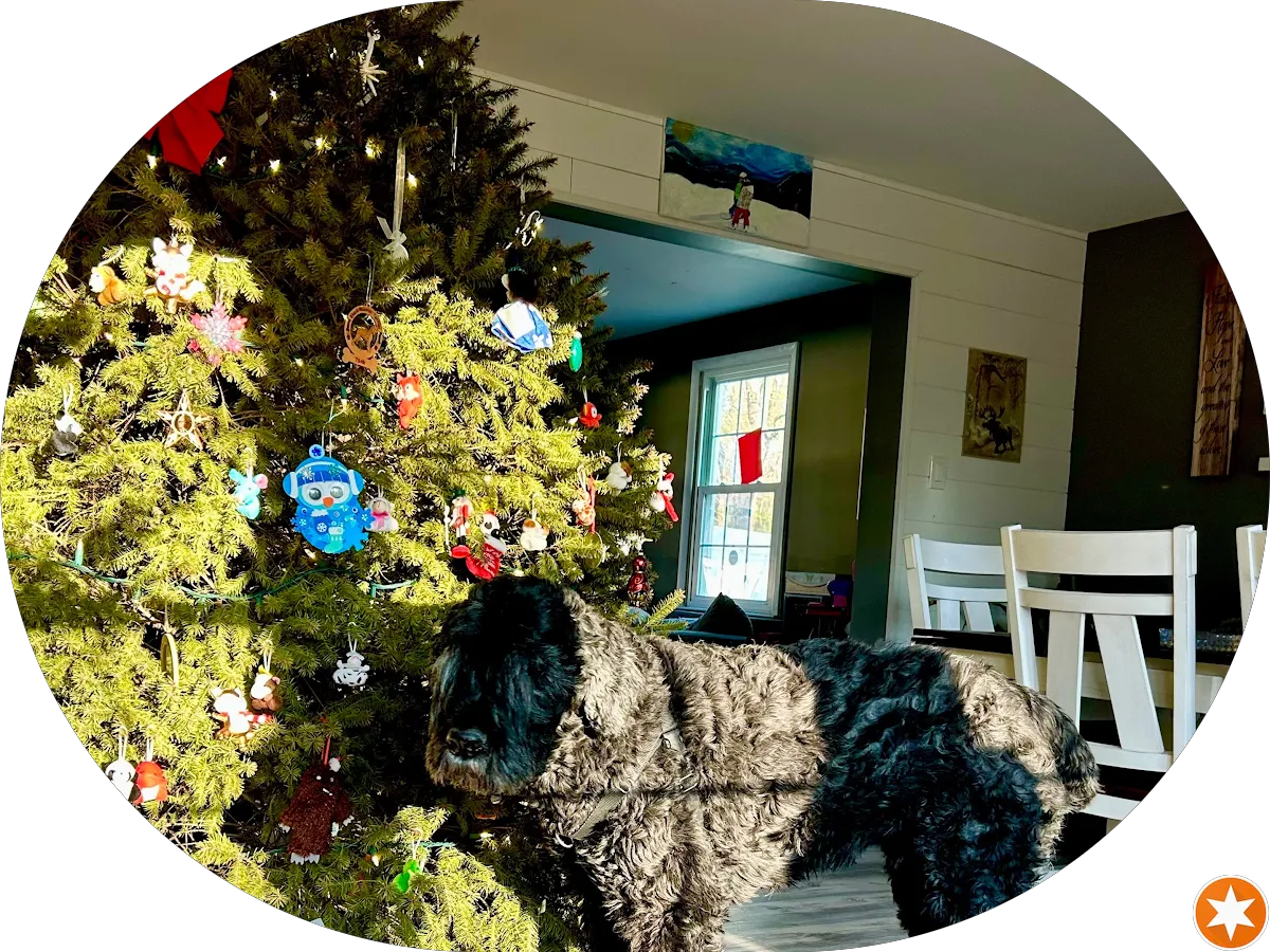 Surf City Tans photo 3