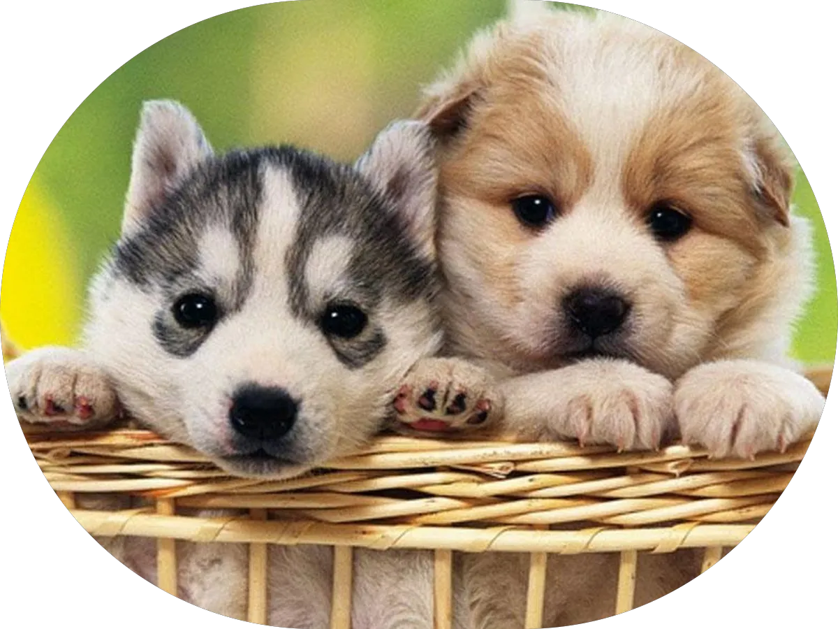 Swanson Mechanical photo 3