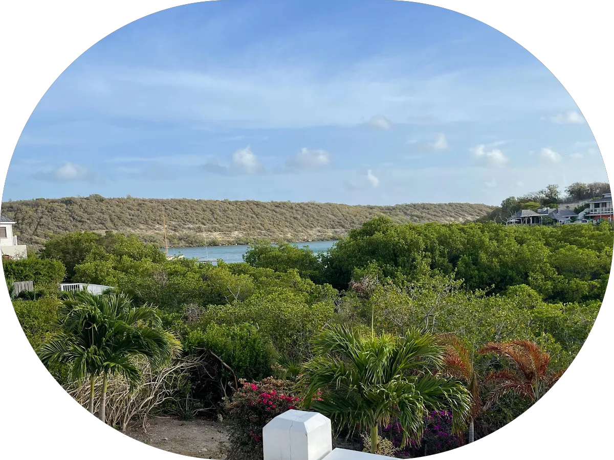 Take 5 Oil Change photo 4