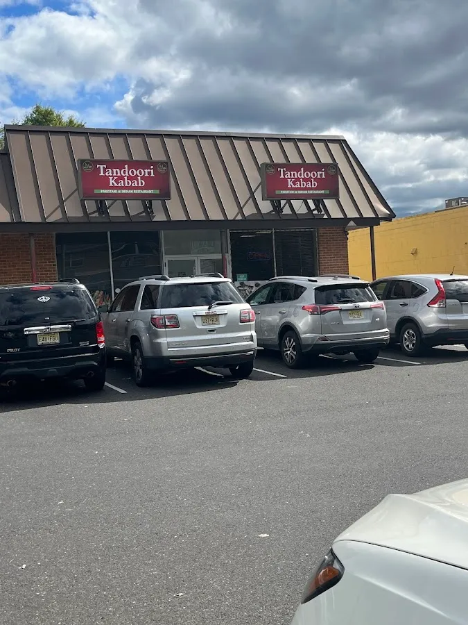 Tandoori Kabab photo 4