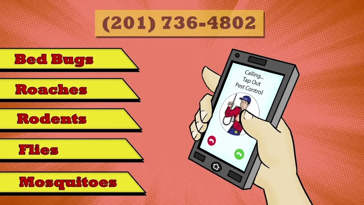 Tapout Termite & Pest Control photo 3