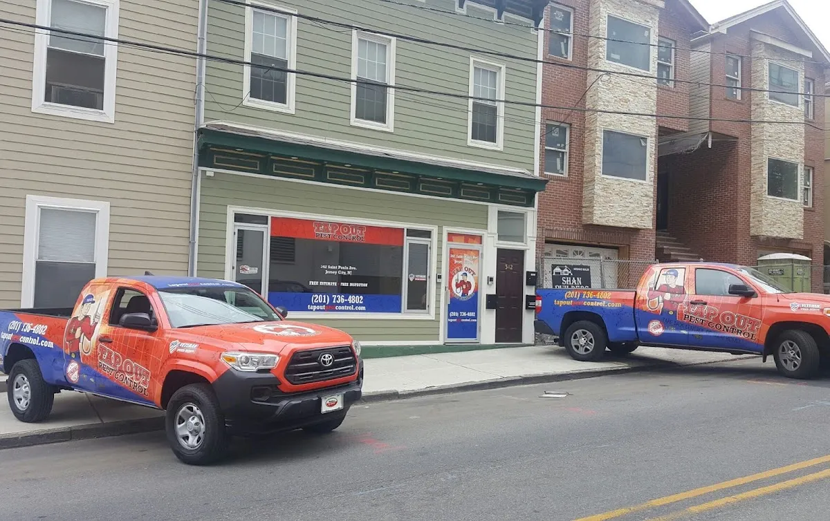 Tapout Termite & Pest Control photo 4