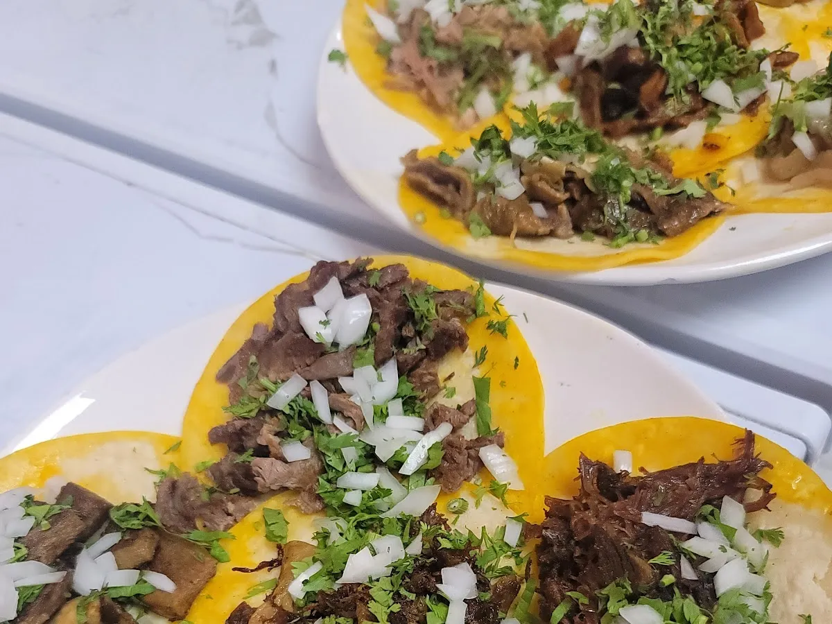 Taqueria el Burrito photo 3