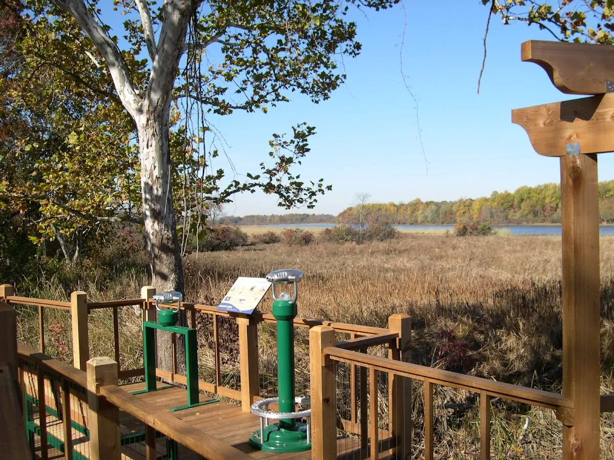 Taylor Design Group Inc