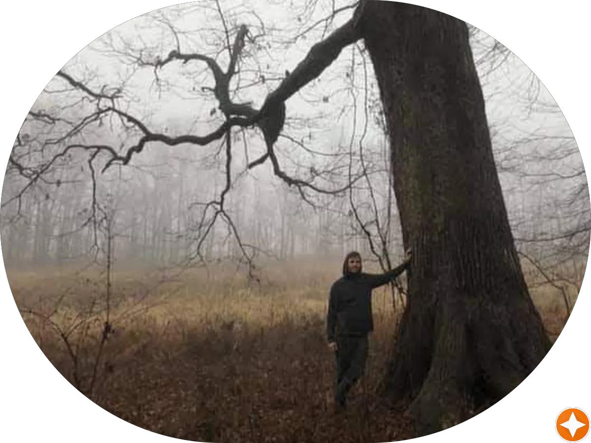 Taylor Design Group Inc photo 3