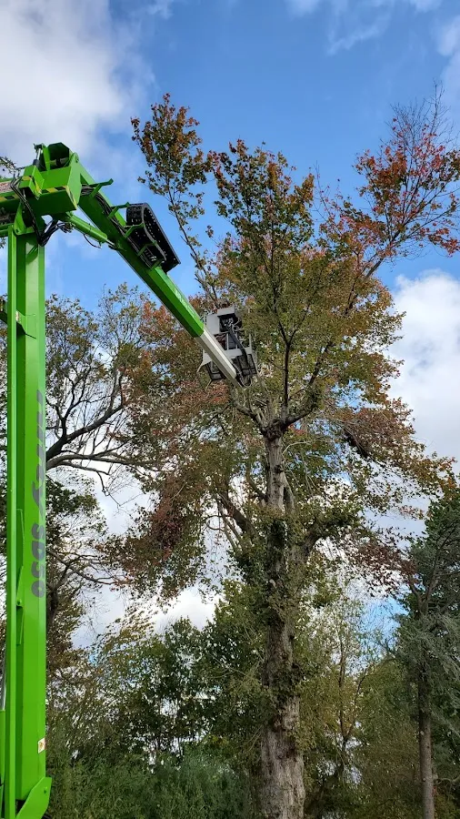 TEBA PROPERTIES photo 4