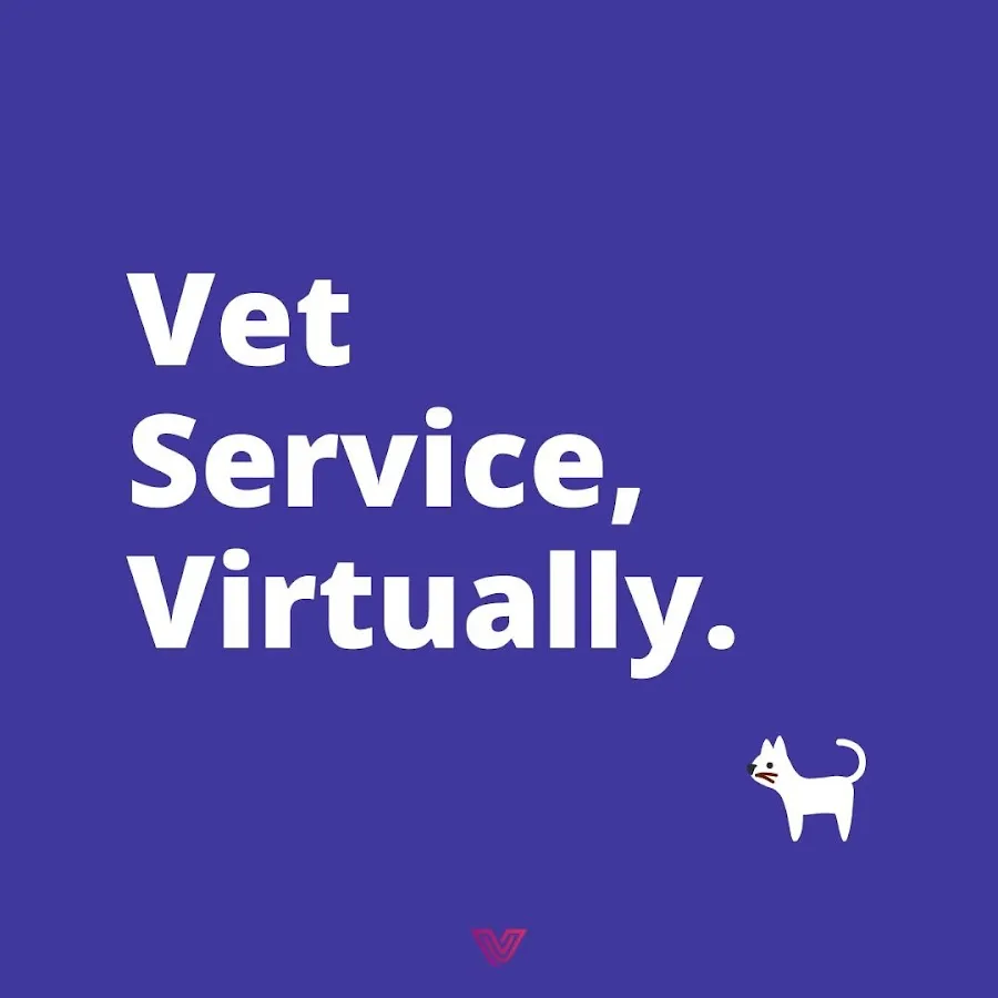 Telemedicine NJ, Your Virtual Veterinarian photo 2