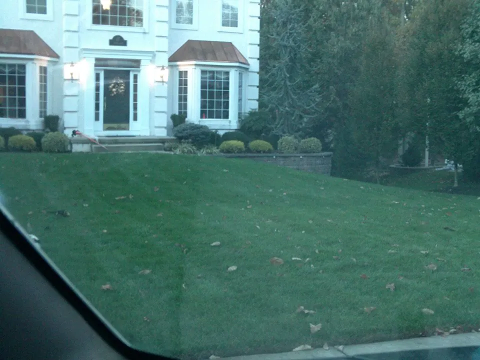 Tender Touch Landscaping photo 2